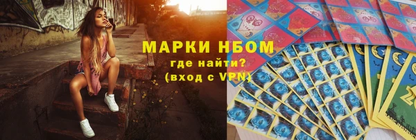 стаф Алзамай