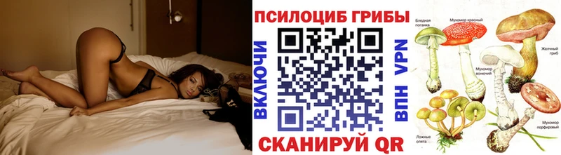 Псилоцибиновые грибы MAGIC MUSHROOMS  Томилино 